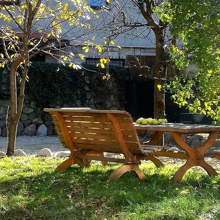 Willa Centrum Ζακοπάνε Εξωτερικό φωτογραφία